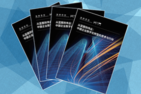 《从蓝图到伟业：中国企业数字化转型的思考与行动》